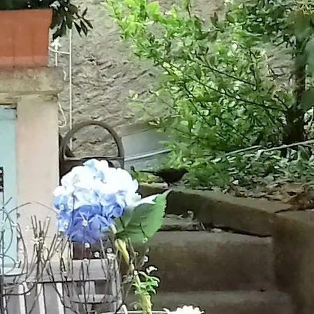 Hébergement de vacances Chez Clo Carcassonne